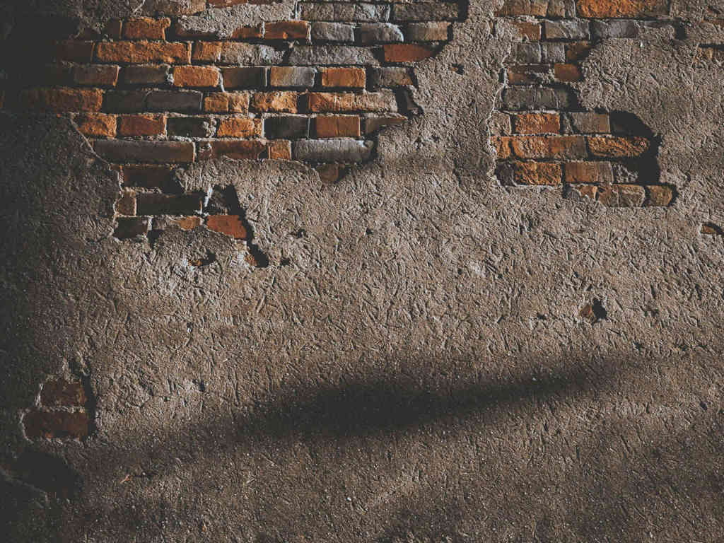 Pexels Hngstrm 1901028