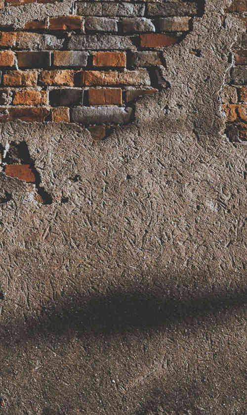 Pexels Hngstrm 1901028