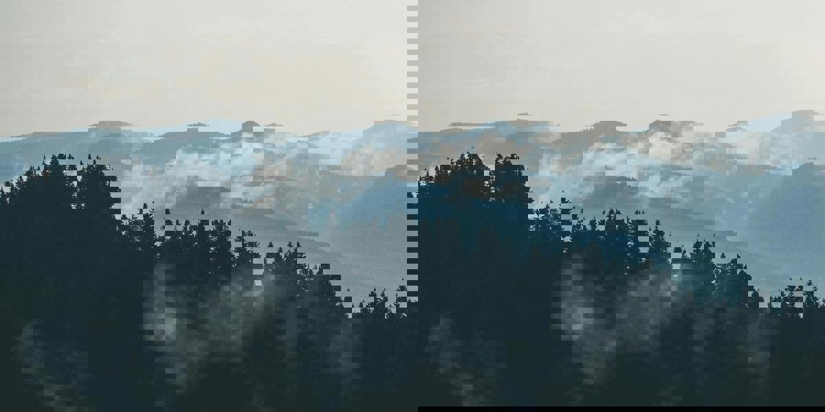 Pexels Creative Vix 9754