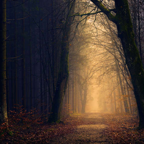 Pexels Jplenio 1102912